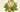 FERDINAND BAUER'S CONTRIBUTIONS TO BOTANICAL SCIENCE AND TAXONOMY