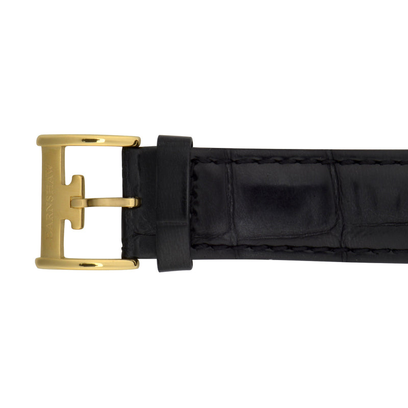 Dalmatine Jasper